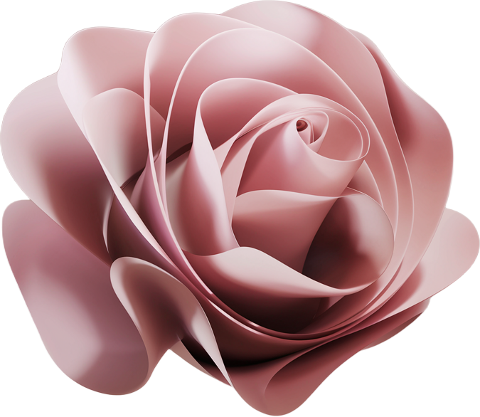 Rose Flower